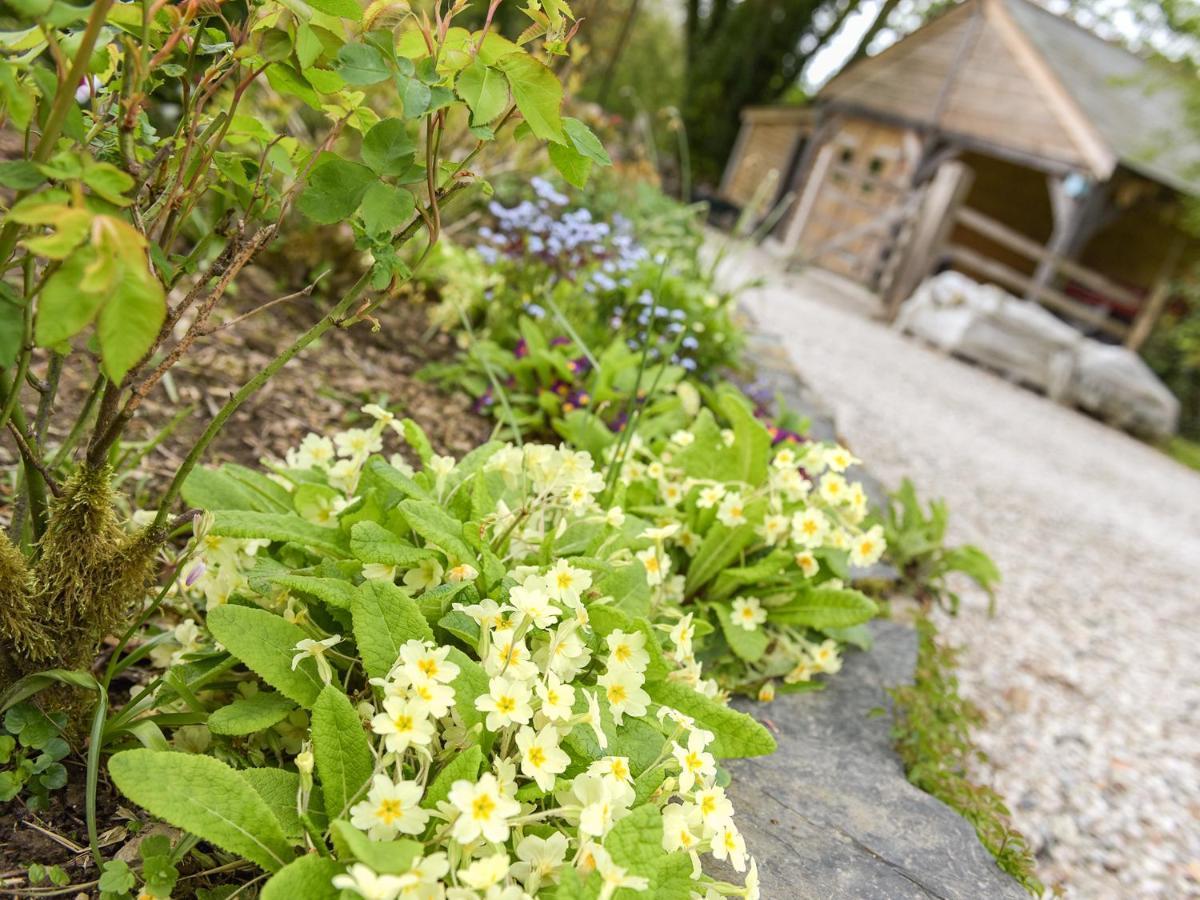 Mimi'S Cottage Liskeard Ngoại thất bức ảnh